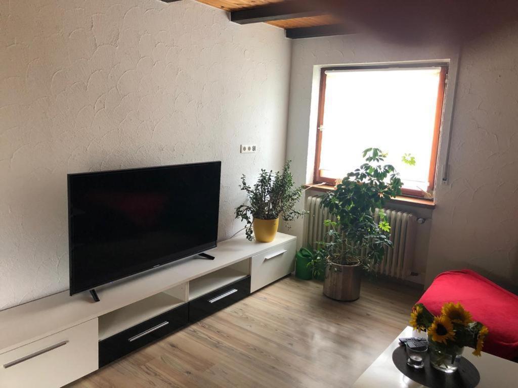 Ferienwohnung Zur Sonnenterasse In Gersbach Schopfheim Exteriör bild