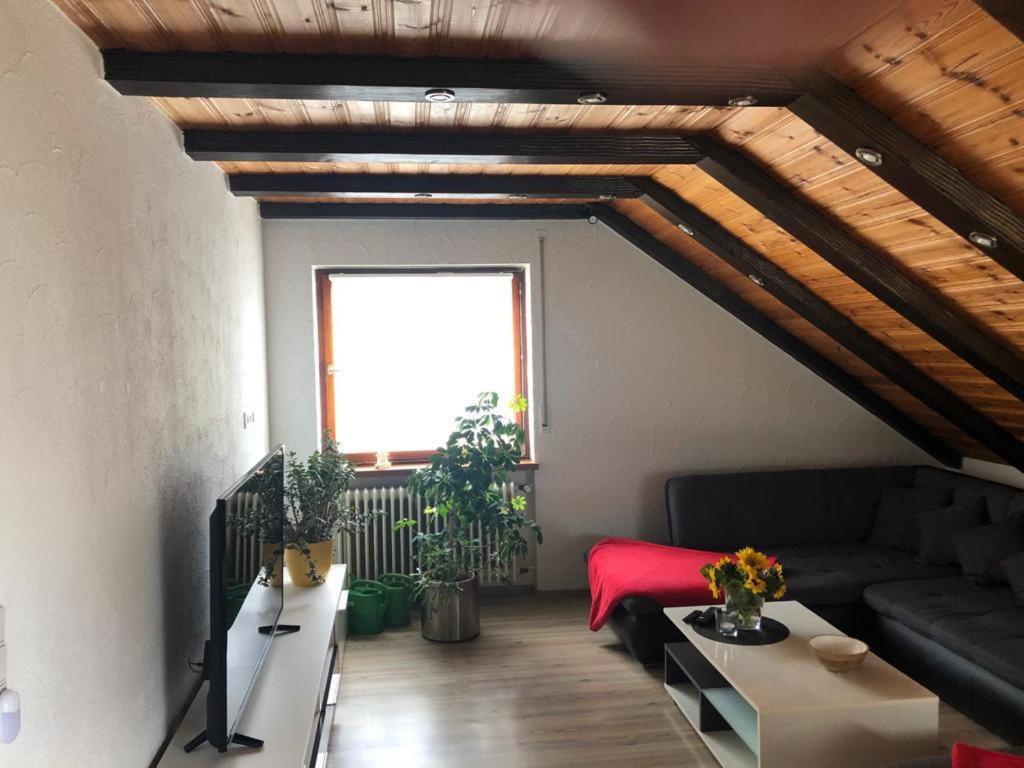 Ferienwohnung Zur Sonnenterasse In Gersbach Schopfheim Exteriör bild